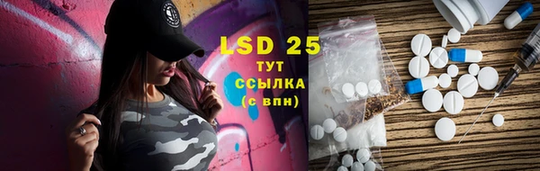 ГАЛЛЮЦИНОГЕННЫЕ ГРИБЫ Лихославль