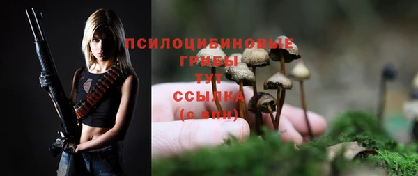 марки nbome Лиски