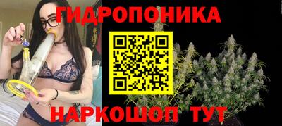 сатива Берёзовский