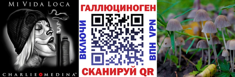 Псилоцибиновые грибы прущие грибы наркота Егорьевск