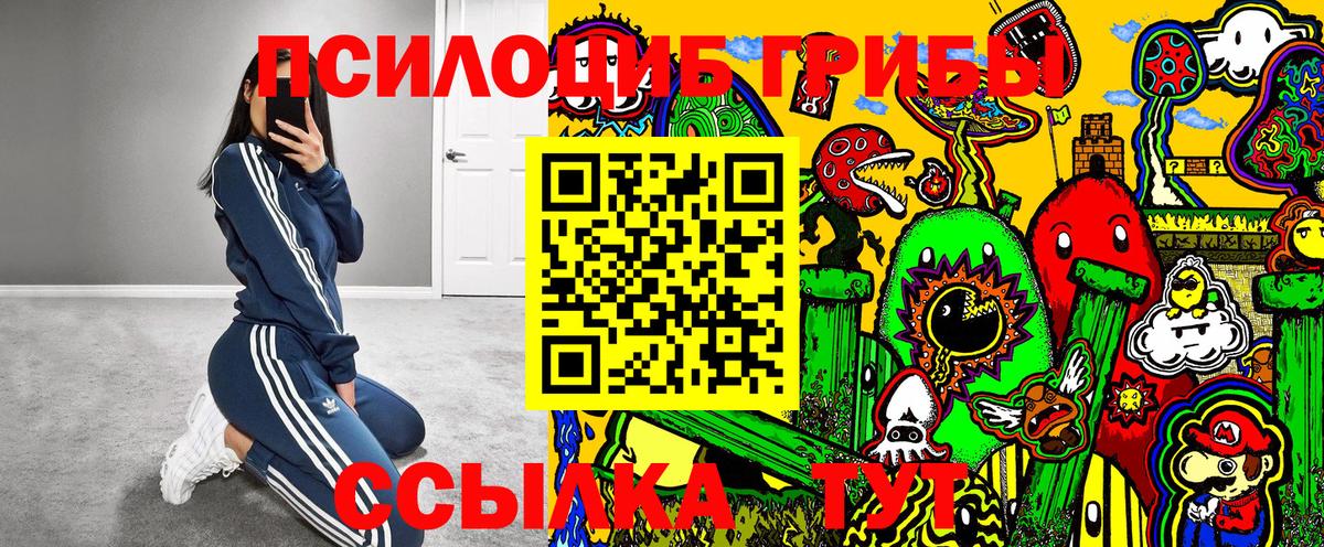 Галлюциногенные грибы Cubensis  Егорьевск  Галлюциногенные грибы Psilocybe 