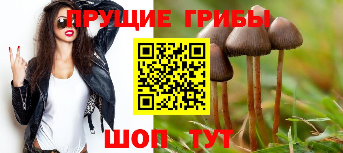 Галлюциногенные грибы Psilocybe  Вход с VPN  Егорьевск 