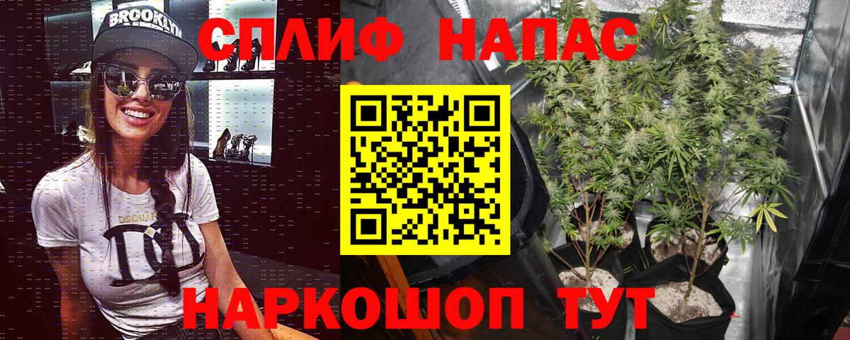 Конопля семена Егорьевск